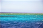 Second Longest Coral Reef in the World